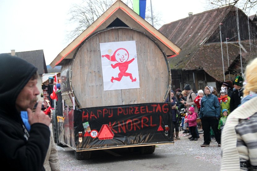 Sarmenstorf Fasnachtsumzug 16.02.2014 (221)